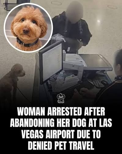 Woman arrested after abandoning dog at airport
